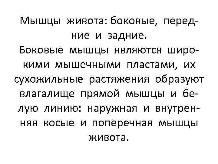 Мышцы живота: боковые, передние и задние. Боковые мышцы являются широкими мышечными пластами, их сухожильные