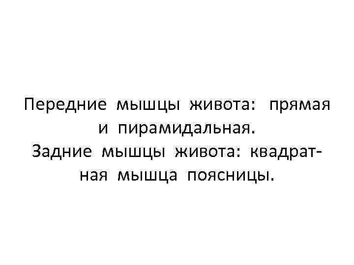 Передние мышцы живота: прямая и пирамидальная. Задние мышцы живота: квадратная мышца поясницы. 