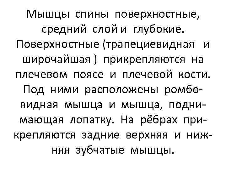 Мышцы спины поверхностные, средний слой и глубокие. Поверхностные (трапециевидная и широчайшая ) прикрепляются на