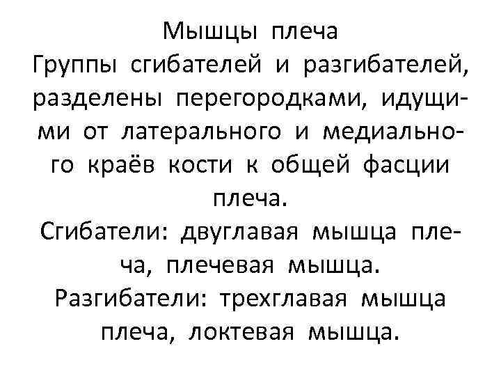 Мышцы плеча Группы сгибателей и разгибателей, разделены перегородками, идущими от латерального и медиального краёв