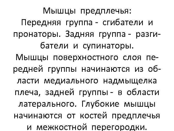 Мышцы предплечья: Передняя группа - сгибатели и пронаторы. Задняя группа - разгибатели и супинаторы.