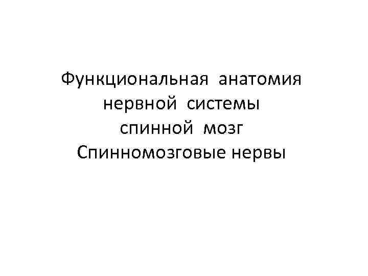 Функциональная анатомия нервной системы спинной мозг Спинномозговые нервы 