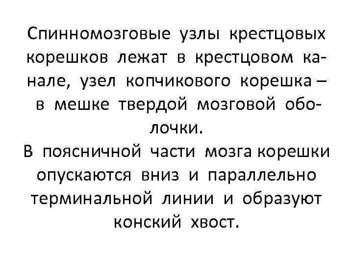 Спинномозговые узлы крестцовых корешков лежат в крестцовом канале, узел копчикового корешка – в мешке