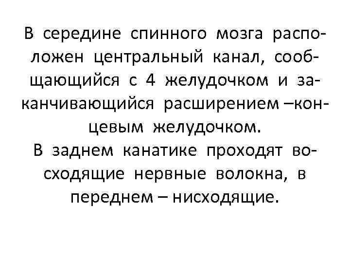 В середине спинного мозга расположен центральный канал, сообщающийся с 4 желудочком и заканчивающийся расширением