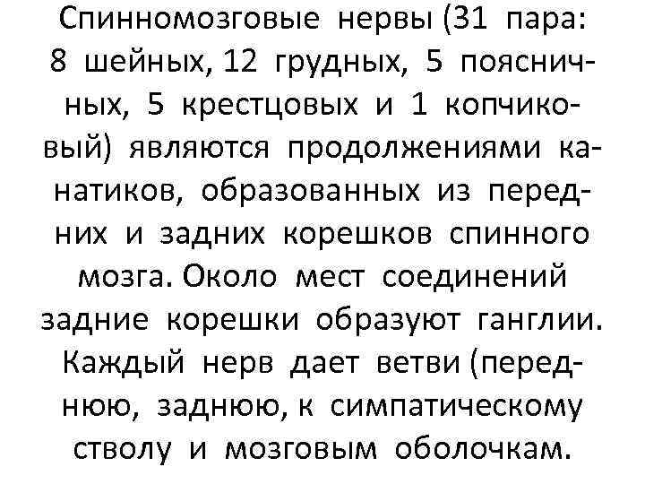 Спинномозговые нервы (31 пара: 8 шейных, 12 грудных, 5 поясничных, 5 крестцовых и 1