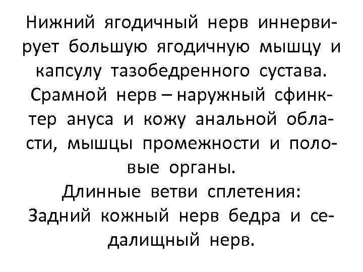 Нижний ягодичный нерв иннервирует большую ягодичную мышцу и капсулу тазобедренного сустава. Срамной нерв –