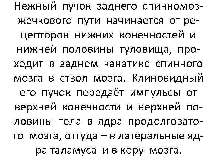 Нежный пучок заднего спинномозжечкового пути начинается от рецепторов нижних конечностей и нижней половины туловища,