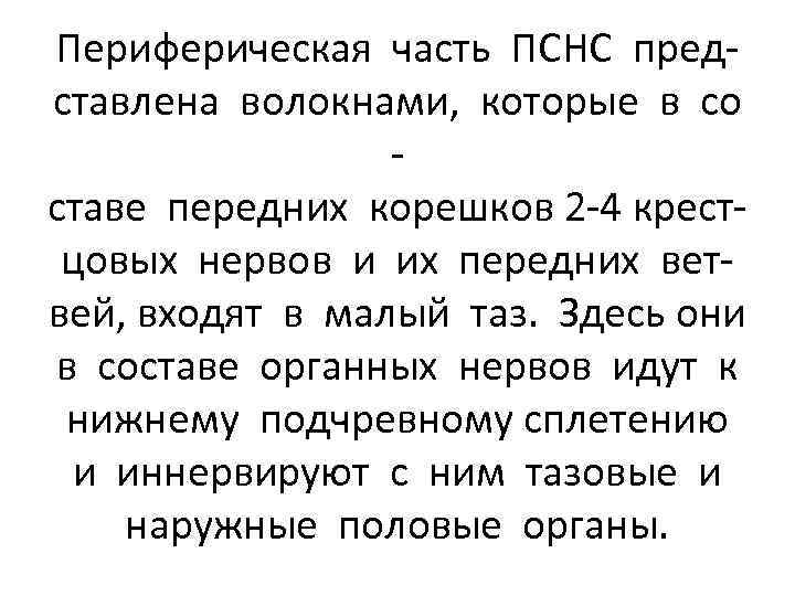 Периферическая часть ПСНС представлена волокнами, которые в со ставе передних корешков 2 -4 крестцовых