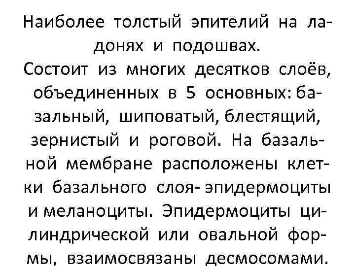 Наиболее толстый эпителий на ладонях и подошвах. Состоит из многих десятков слоёв, объединенных в