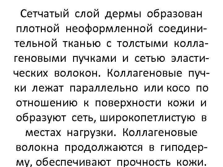 Сетчатый слой дермы образован плотной неоформленной соединительной тканью с толстыми коллагеновыми пучками и сетью