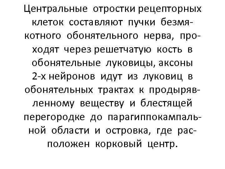 Центральные отростки рецепторных клеток составляют пучки безмякотного обонятельного нерва, проходят через решетчатую кость в