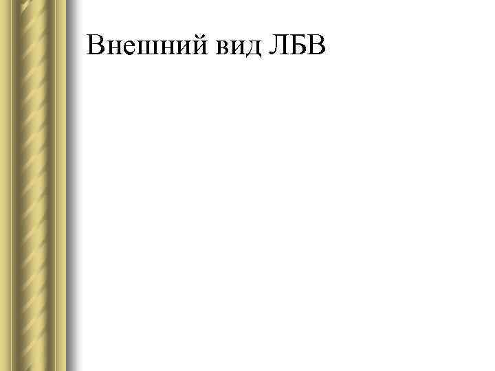 Внешний вид ЛБВ 