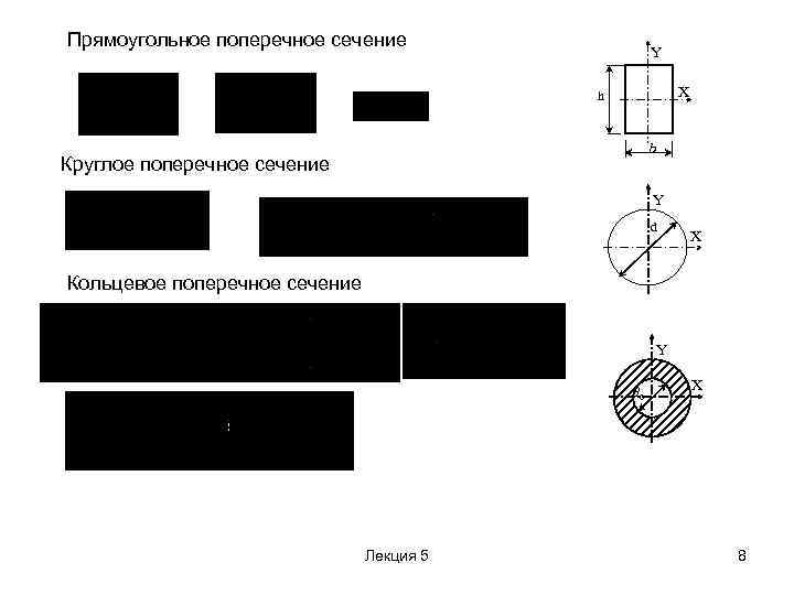 Линейное сечение. Прямоугольное поперечное сечение. Кольцевое поперечное сечение.