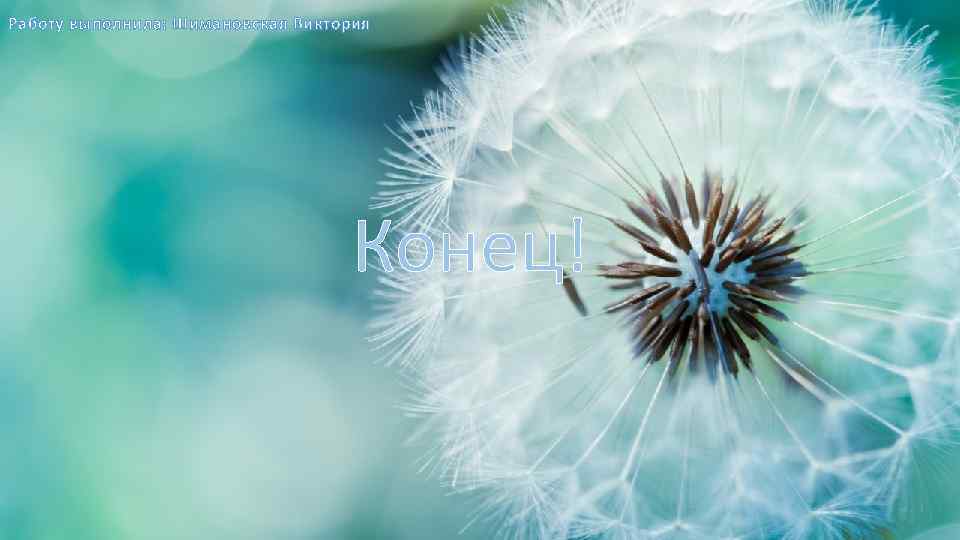 Работу выполнила: Шимановская Виктория Конец! 