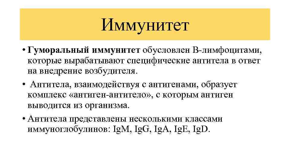 Иммунитет • Гуморальный иммунитет обусловлен В-лимфоцитами, которые вырабатывают специфические антитела в ответ на внедрение