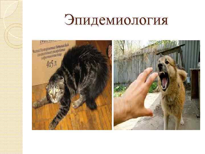 Эпидемиология 