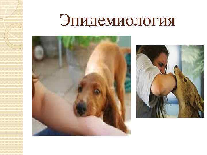 Эпидемиология 