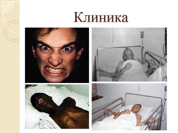Клиника 