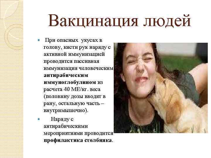 Вакцинация людей При опасных укусах в голову, кисти рук наряду с активной иммунизацией проводится