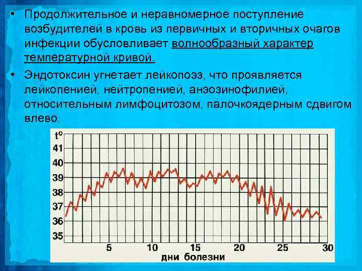  • Продолжительное и неравномерное поступление возбудителей в кровь из первичных и вторичных очагов