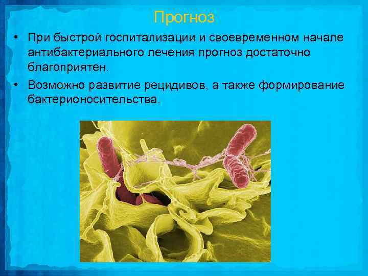 Прогноз • При быстрой госпитализации и своевременном начале антибактериального лечения прогноз достаточно благоприятен. •