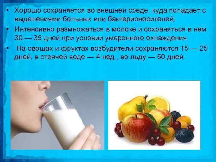  • Хорошо сохраняется во внешней среде, куда попадает с выделениями больных или бактерионосителей;