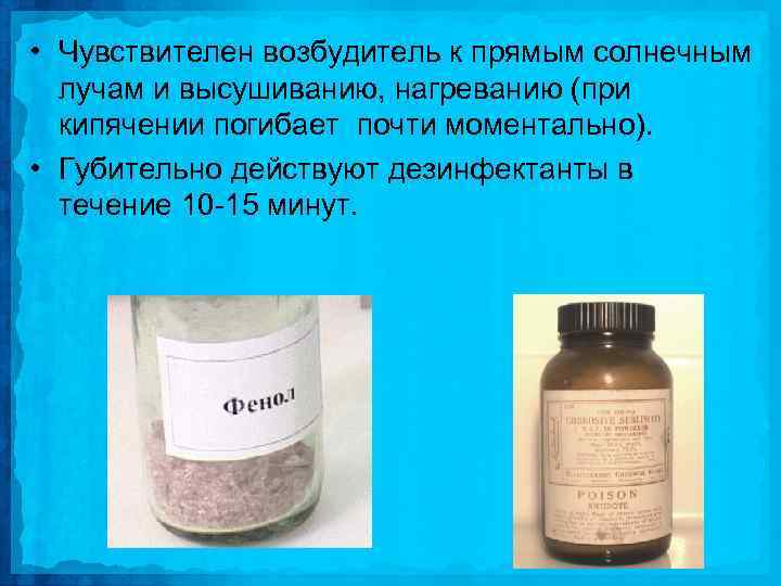  • Чувствителен возбудитель к прямым солнечным лучам и высушиванию, нагреванию (при кипячении погибает