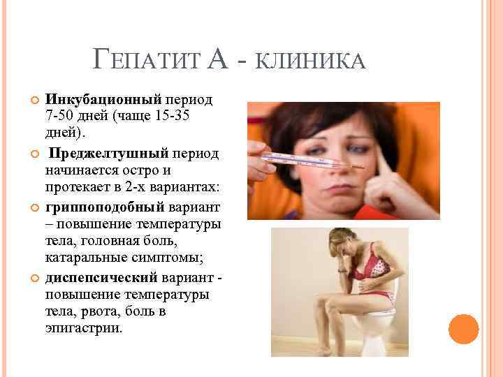 ГЕПАТИТ А КЛИНИКА Инкубационный период 7 50 дней (чаще 15 35 дней). Преджелтушный период