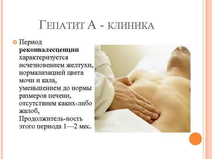 ГЕПАТИТ А КЛИНИКА Период реконвалесценции характеризуется исчезновением желтухи, нормализацией цвета мочи и кала, уменьшением
