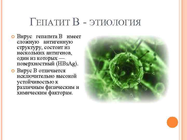 ГЕПАТИТ В ЭТИОЛОГИЯ Вирус гепатита В имеет сложную антигенную структуру, состоит из нескольких антигенов,