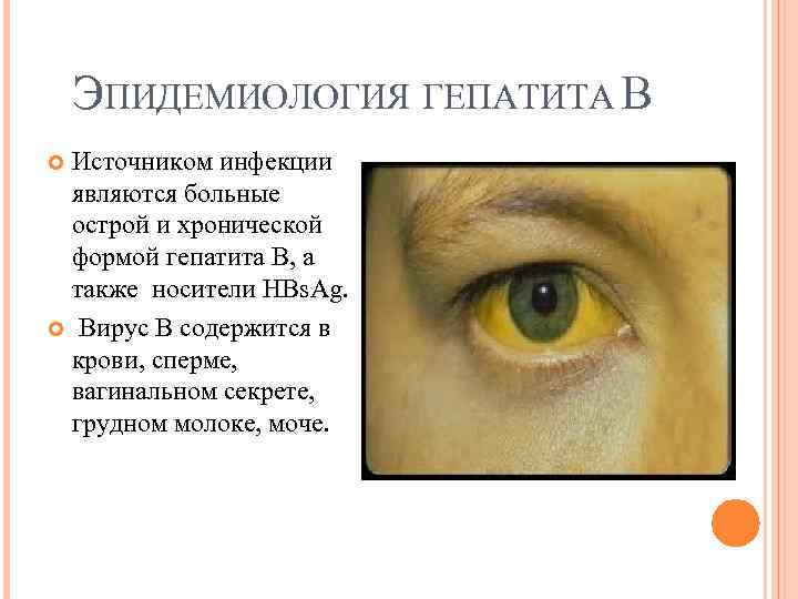 ЭПИДЕМИОЛОГИЯ ГЕПАТИТА В Источником инфекции являются больные острой и хронической формой гепатита В, а