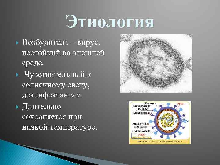 Корь во владимире 2024. Корь вирус возбудитель. Методы контроля активности вируса кори. Синдром снижения яйценоскости.