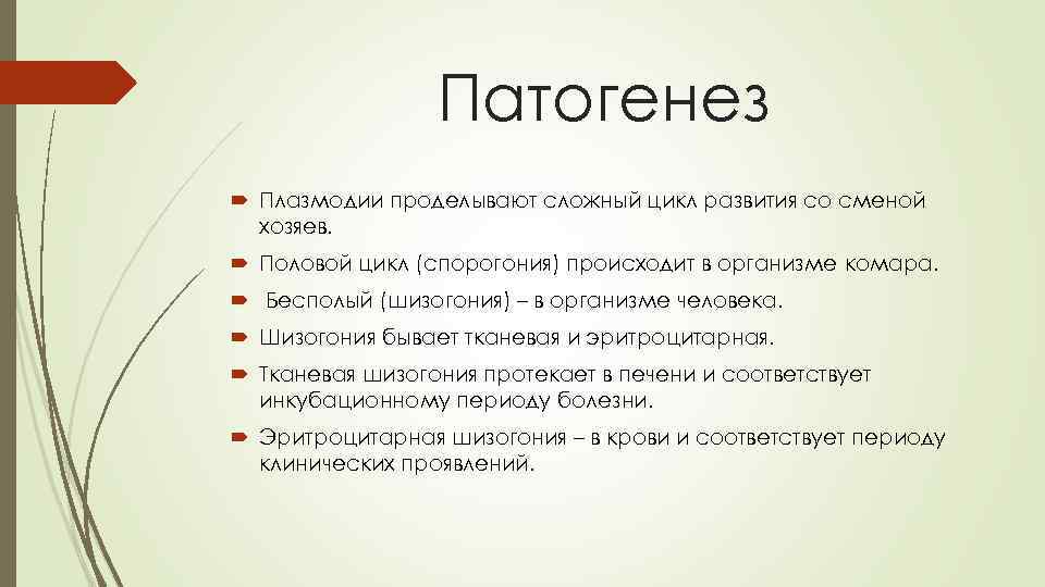Патогенез Плазмодии проделывают сложный цикл развития со сменой хозяев. Половой цикл (спорогония) происходит в