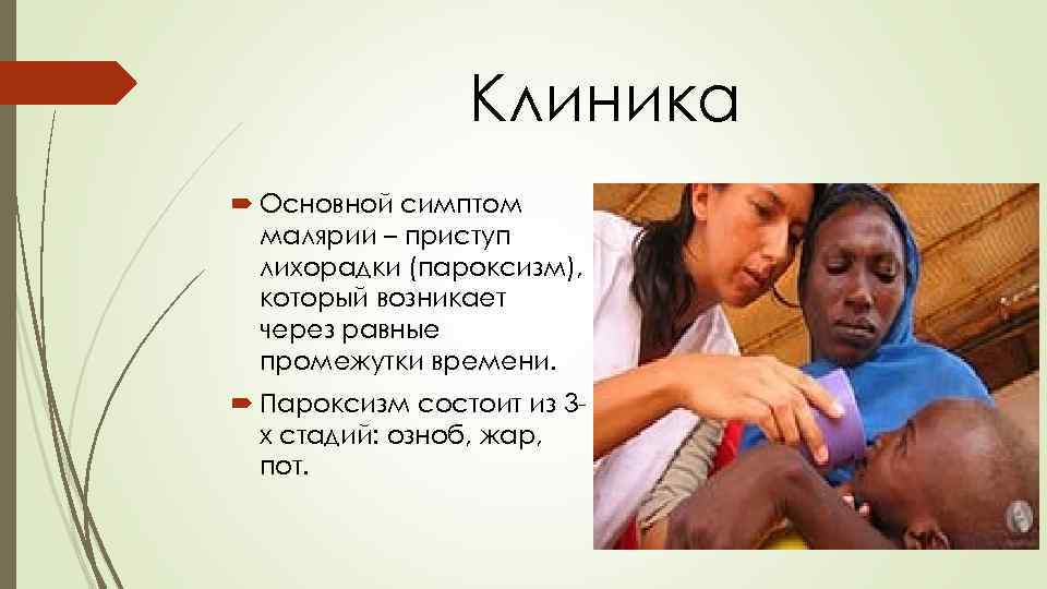Клиника Основной симптом малярии – приступ лихорадки (пароксизм), который возникает через равные промежутки времени.