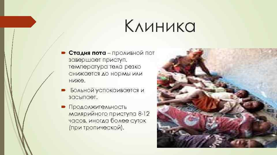 Клиника Стадия пота – проливной пот завершает приступ, температура тела резко снижается до нормы