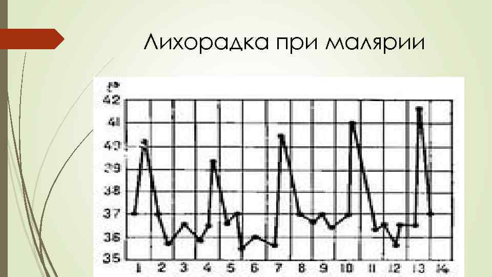 Лихорадка при малярии 