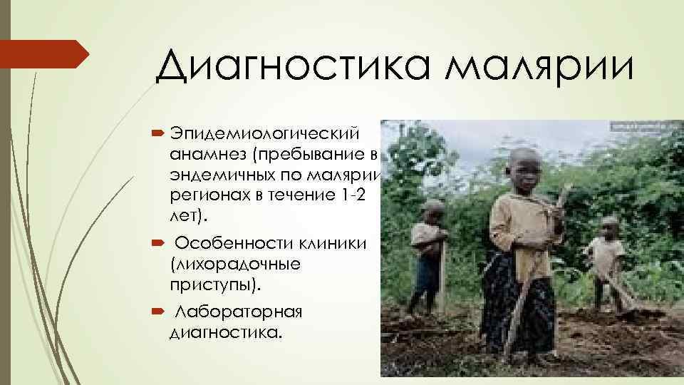 Диагностика малярии Эпидемиологический анамнез (пребывание в эндемичных по малярии регионах в течение 1 -2
