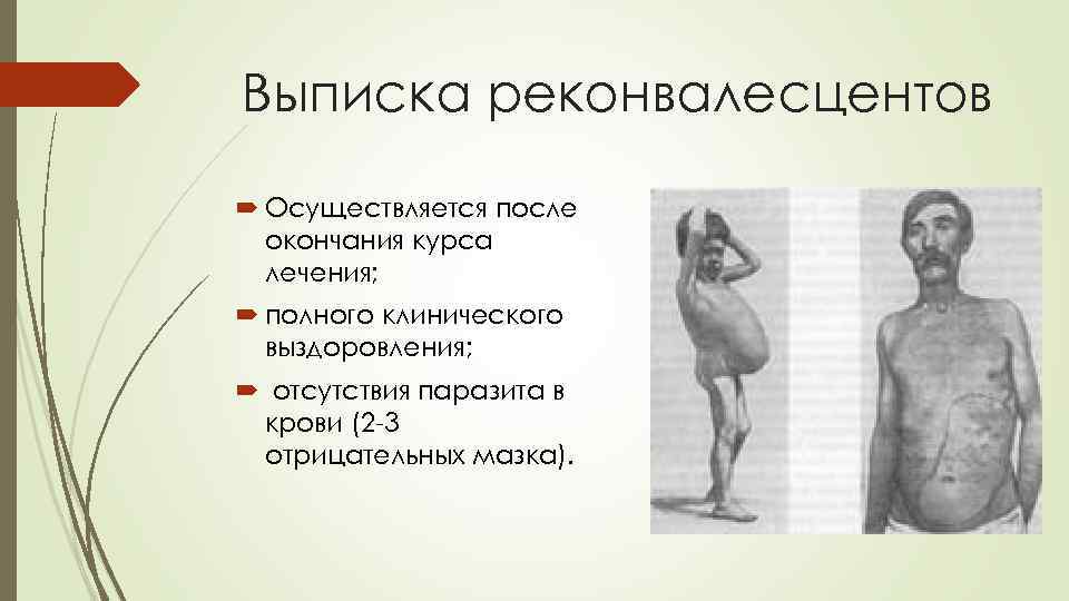 Выписка реконвалесцентов Осуществляется после окончания курса лечения; полного клинического выздоровления; отсутствия паразита в крови