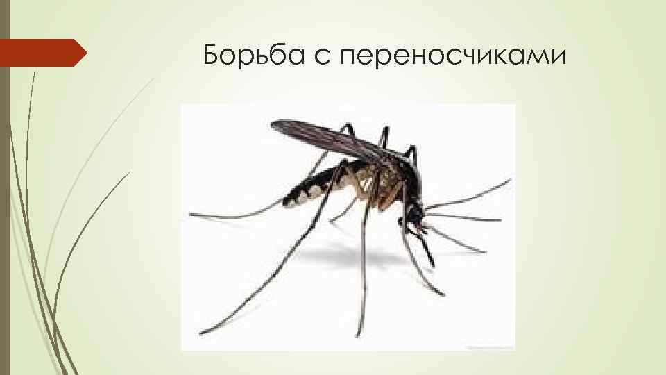 Борьба с переносчиками 