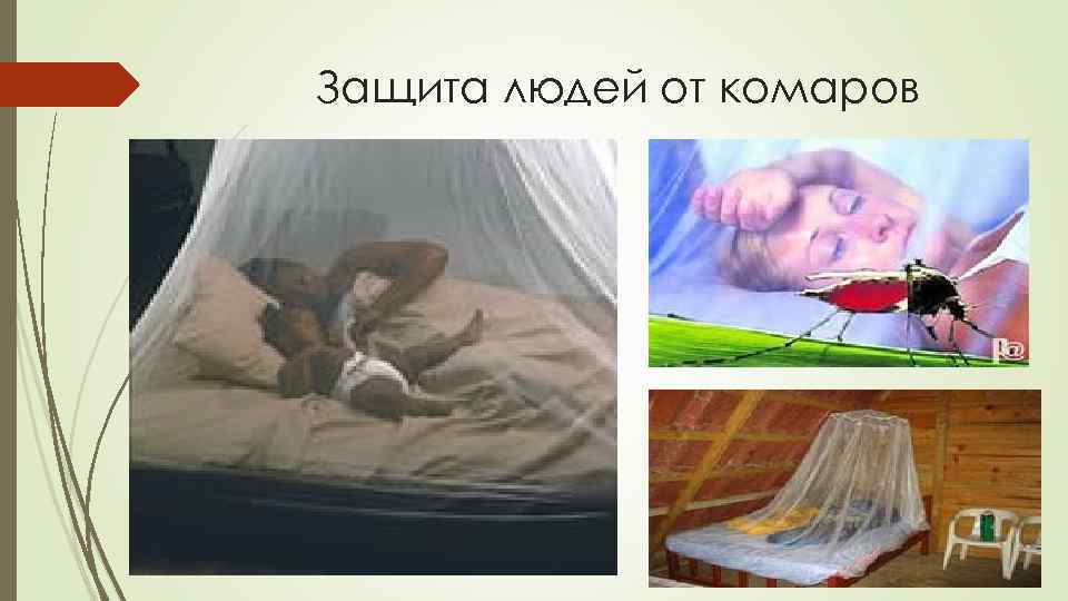 Защита людей от комаров 