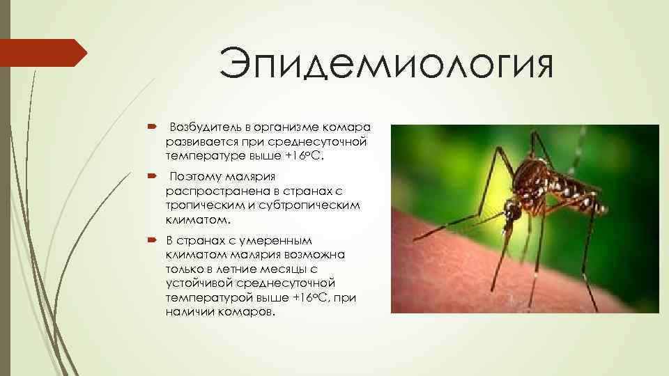 Малярия таблица