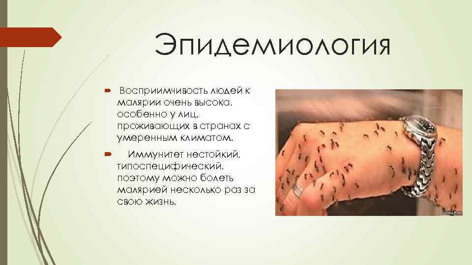 Эпидемиология Восприимчивость людей к малярии очень высока, особенно у лиц, проживающих в странах с