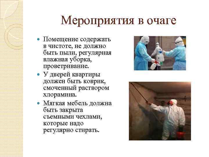 Мероприятия в очаге Помещение содержать в чистоте, не должно быть пыли, регулярная влажная уборка,