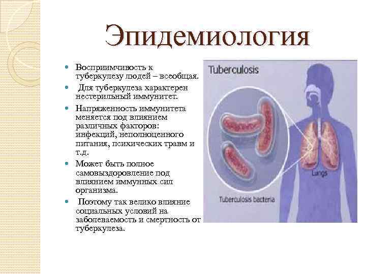 Эпидемиология Восприимчивость к туберкулезу людей – всеобщая. Для туберкулеза характерен нестерильный иммунитет. Напряженность иммунитета