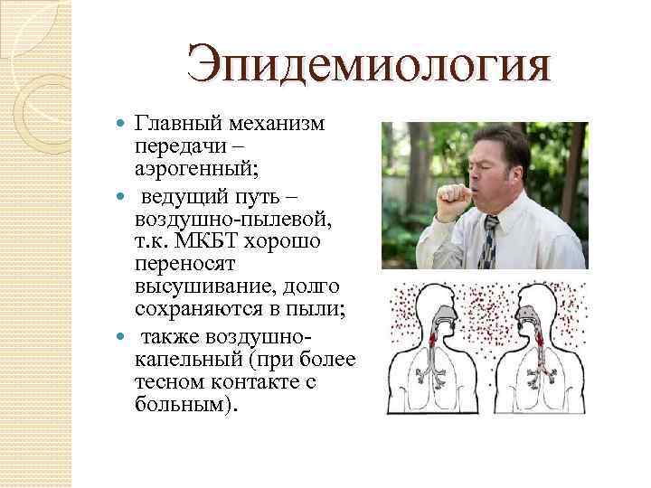 Эпидемиология Главный механизм передачи – аэрогенный; ведущий путь – воздушно-пылевой, т. к. МКБТ хорошо