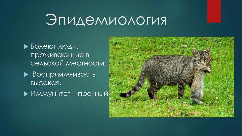 Эпидемиология Болеют люди, проживающие в сельской местности. Восприимчивость высокая. Иммунитет – прочный. 