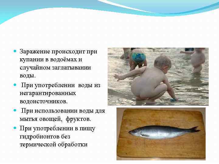  Заражение происходит при купании в водоёмах и случайном заглатывании воды. При употреблении воды