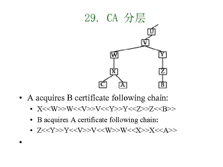 29. CA 分层 • A acquires B certificate following chain: • X<<W>>W<<V>>V<<Y>>Y<<Z>>Z<<B>> • B