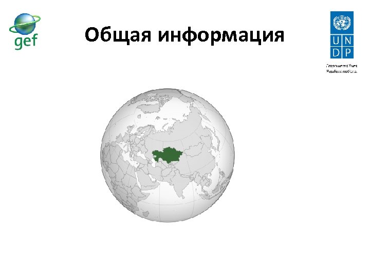 Общая информация 