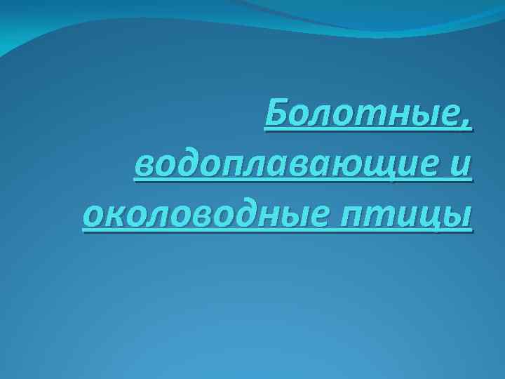 Болотные, водоплавающие и околоводные птицы 